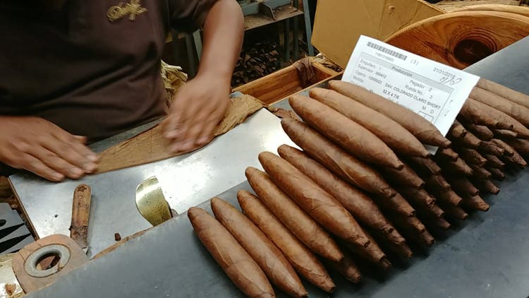 davidoff cigars guide davidoff colorado claro cigar review rolling table